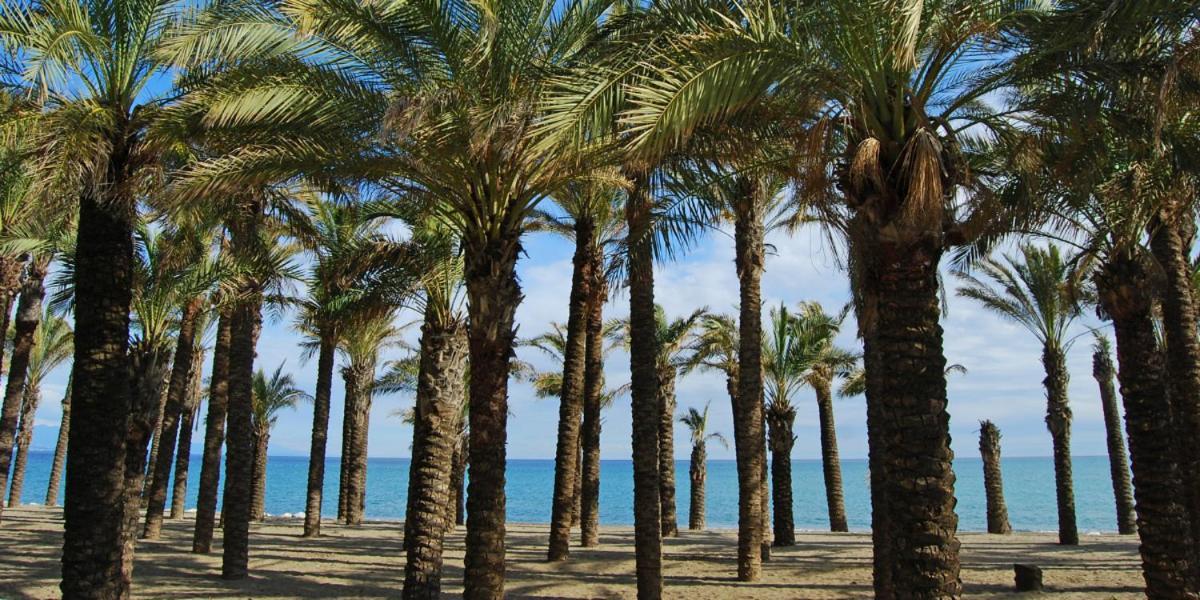 Apartamento Carole Playa Bajondillo Torremolinos Beach - Playa A 30 Segundos - Wifi - Parking - Terraza Apartman Kültér fotó